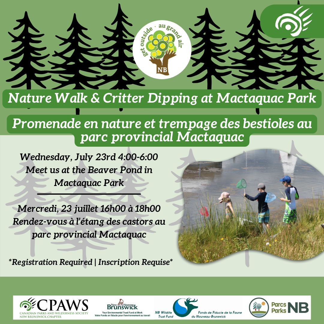 Nature Walk &amp; Critter Dipping